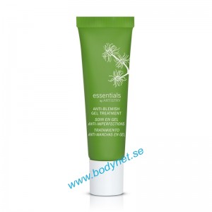 Anti-Blemish Gel Treatment essentials by ARTISTRY&trade;